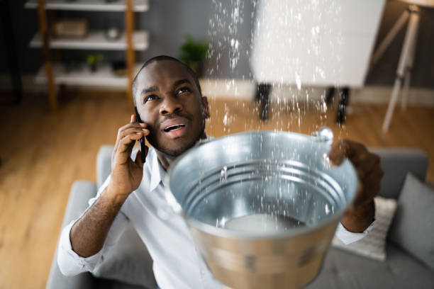 Best Local water damage restoration  in Lake Bluff, IL