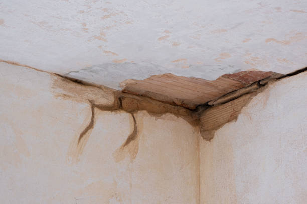 Water damage restoration process in Lake Bluff, IL
