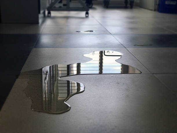 Best 24/7 water damage repair  in Lake Bluff, IL